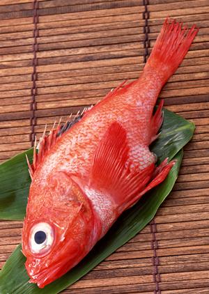 おいしさとお手頃価格が魅力の南砂町店 ? ピザポケット