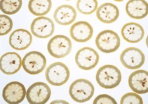 府中の新鮮な牡蠣と多彩な牡蠣料理が楽しめるオイスターバー「Oyster Bar ジャックポット」の魅力